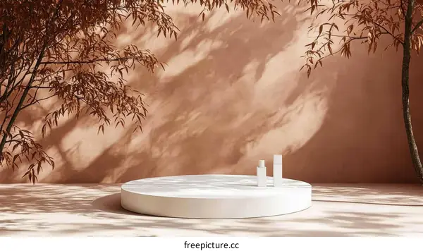 Elegant Natural Product Display with Minimalist Design