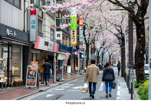 Cherry Blossoms and People Walking on a Street in Japan
