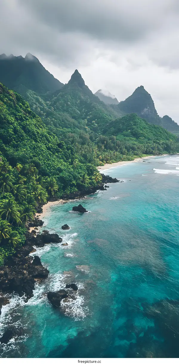 Aerial View of Tropical Beach and Mountains