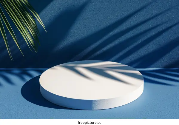 Minimalist White Display Podium with Palm Leaf Shadow