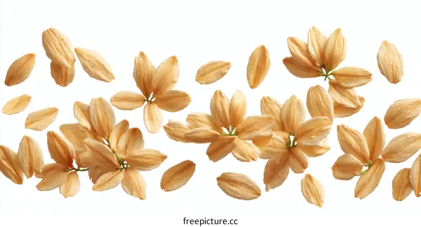 Dried Flower Petals in Motion