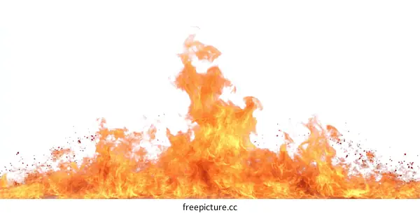 Fiery Flames Against a White Background