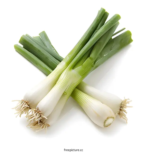 Fresh Spring Onions on White Background