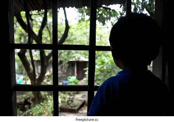 Silhouette of a Young Boy Looking Out a Window