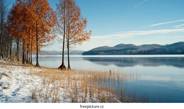 Winter Landscape by the Lake with Vivid Colors