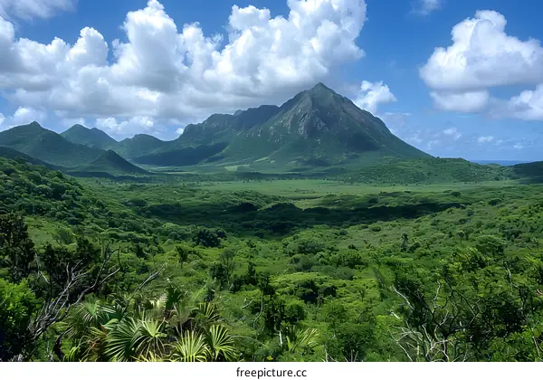 Lush Green Mountains in the Caribbean