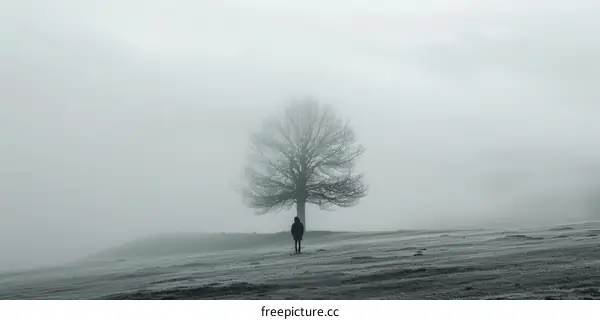 Person standing alone in a foggy field with a large tree in the background