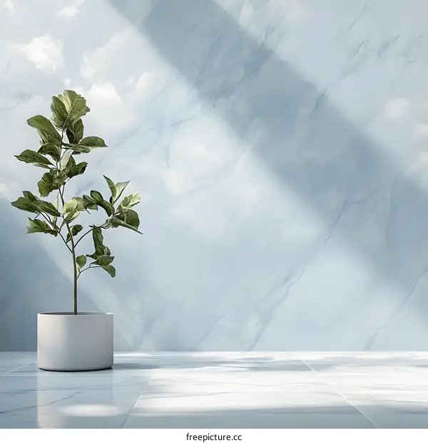 Minimalist Interior Design with Plant and Marble Wall