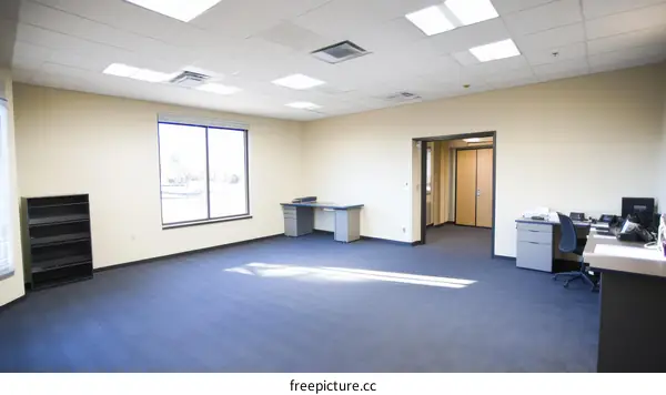Empty Modern Office Space with Natural Light