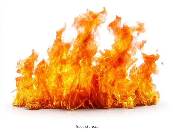 Fiery Flames against a White Background