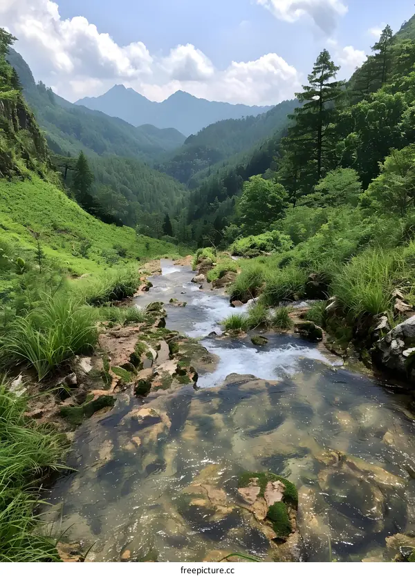 A river flowing through a valley with green mountains in the background