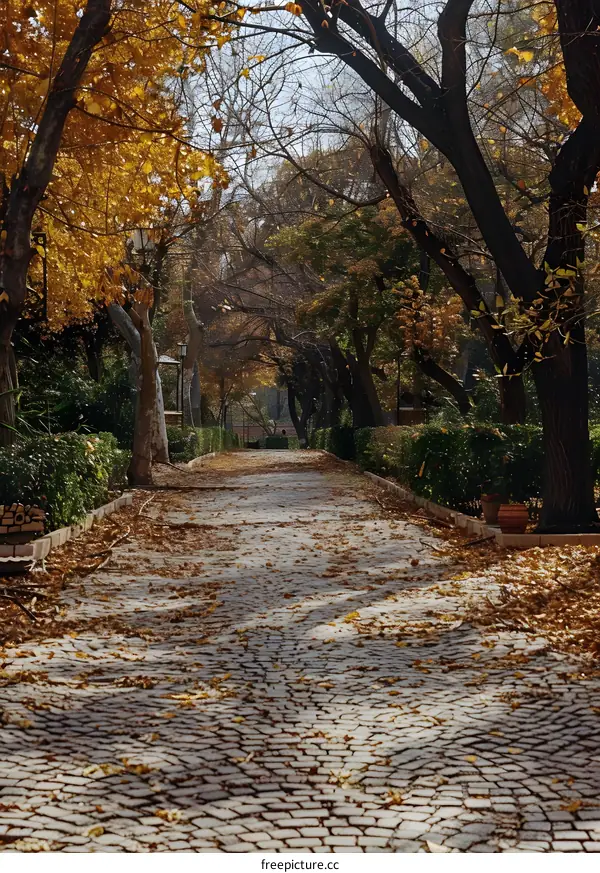 An Autumn Park with Yellow Foliage