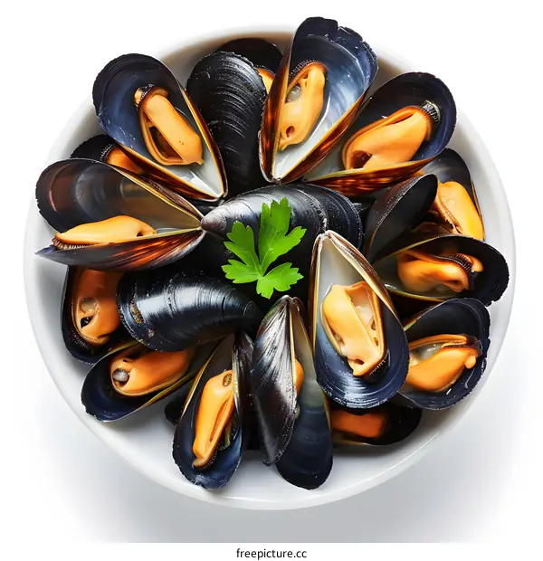 Black Mussels Isolated On White Background