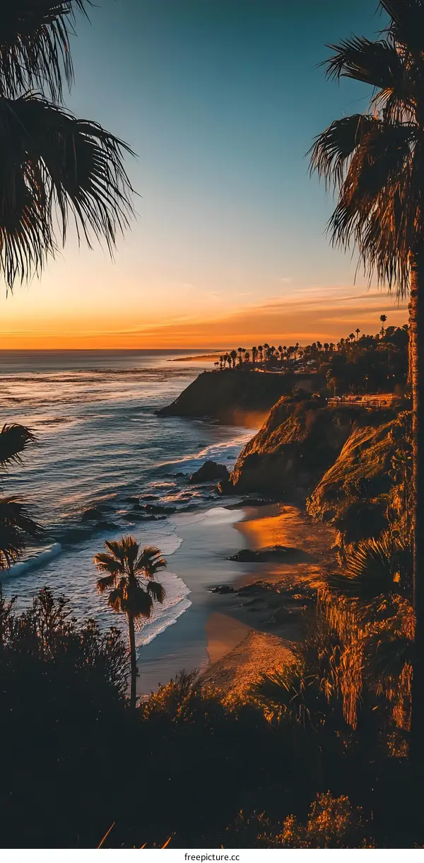 Sunset Coastline View with Palm Trees