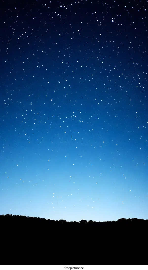 Starry Night Sky with Silhouette of Trees on Horizon