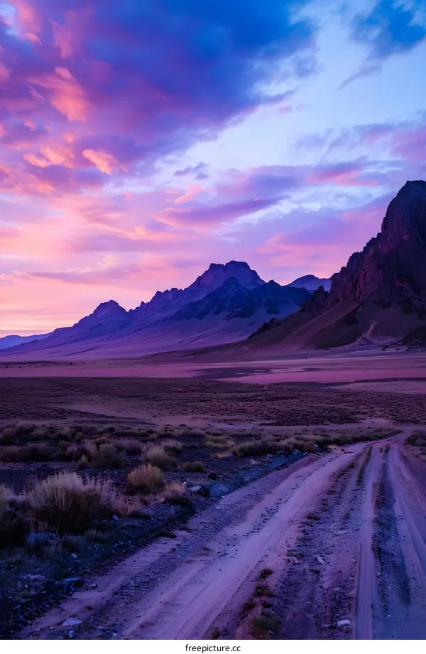 Purple Mountain Landscape with Dirt Road