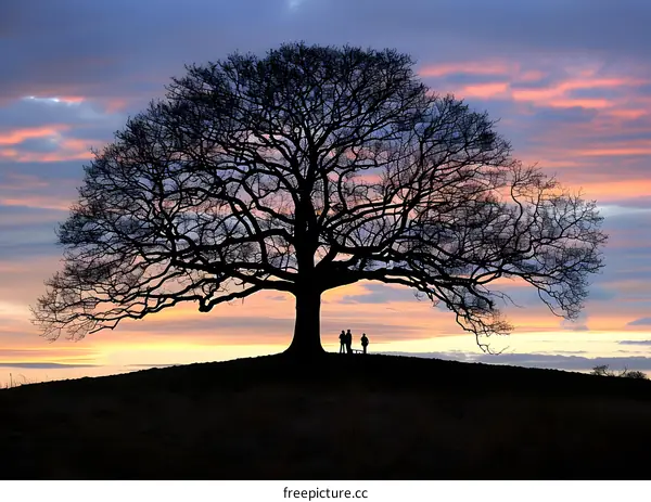 Silhouettes of Three People Standing Under a Large Tree at Sunset