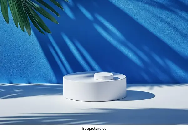 Stylish Minimalist Product Display with Tropical Shadow