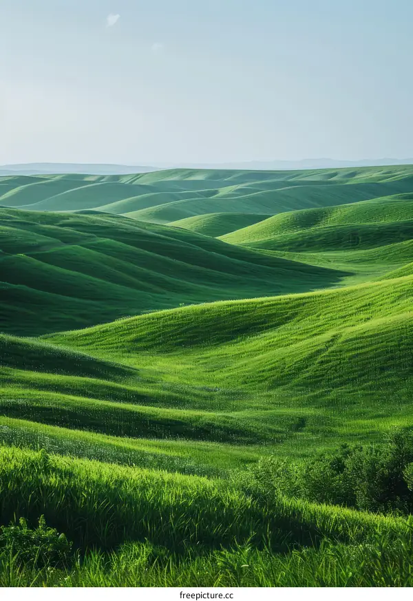 Lush Green Hills Under The Azure Sky