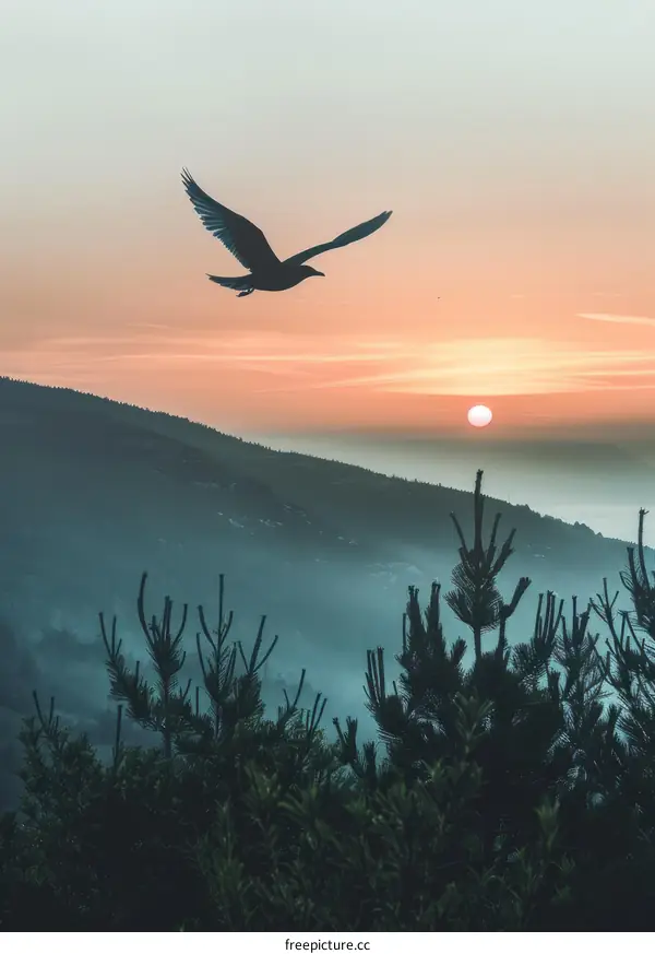 Bird flying over the mountain at sunset