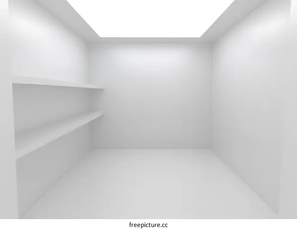 Empty Room Interior Design With Two White Shelves