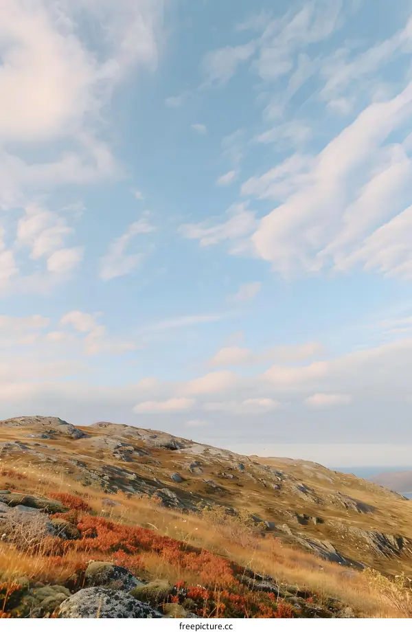 Autumn Landscape with Blue Sky and White Clouds