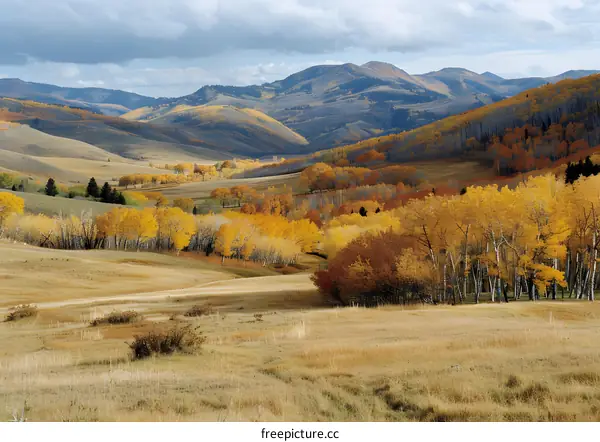 The rolling hills of autumn are ablaze with color.