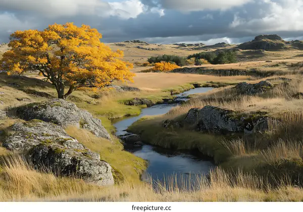 Autumn Landscape with a Winding Stream and Golden Tree
