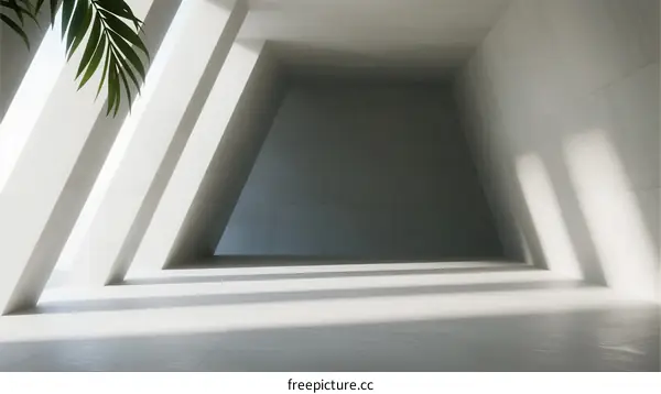 Minimalist White Architecture with Natural Light and Leaf