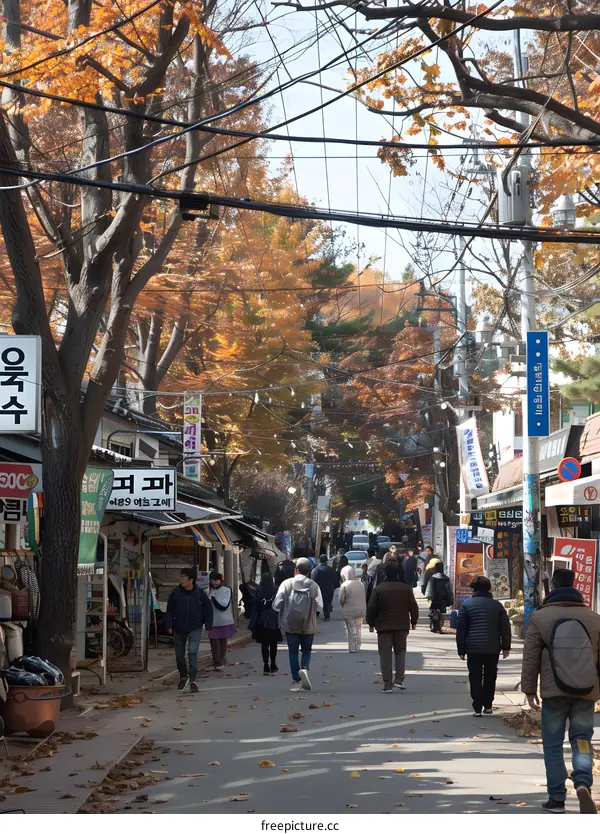 Autumn Street Scene in South Korea with People Walking
