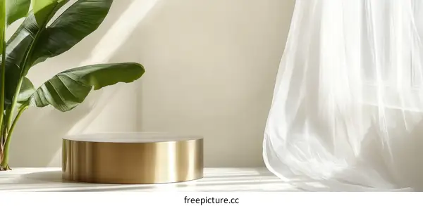 Minimalist Gold Display Podium with Plant and Sheer Curtains