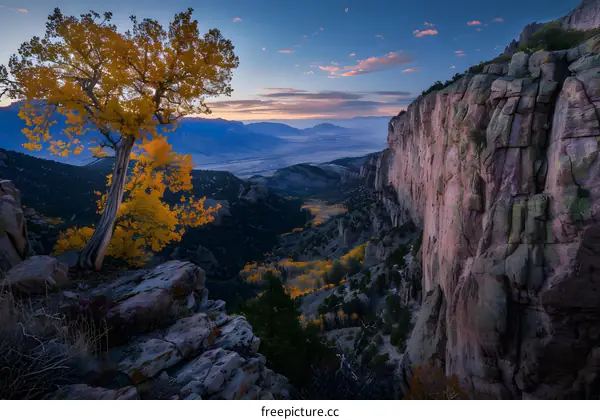 Autumn Landscape with Mountain View and Single Tree