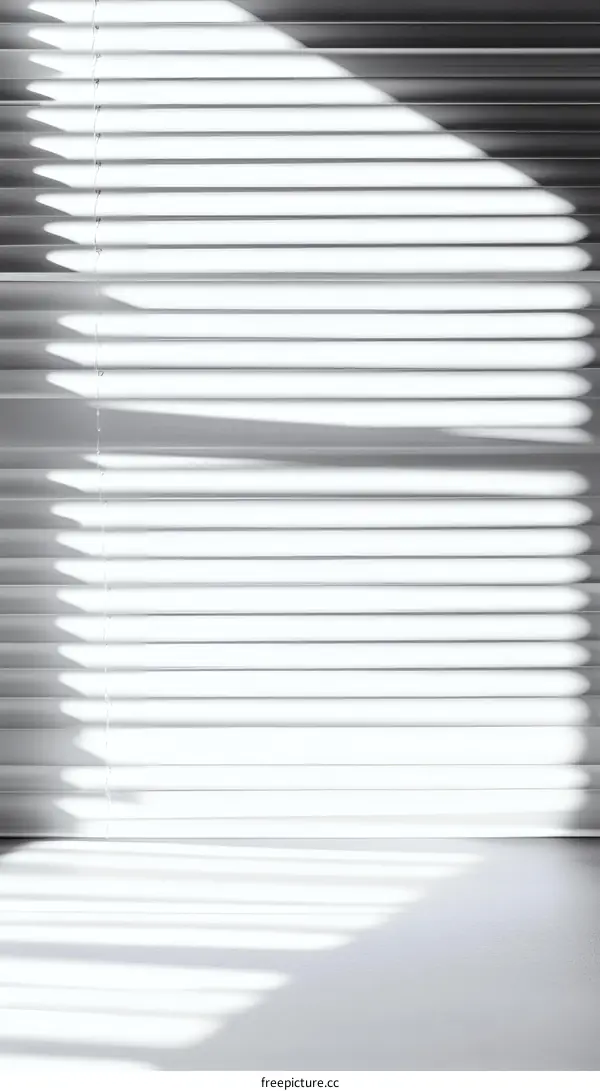 Elegant Window Blinds with Sunlight Shadow