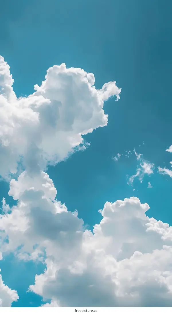 White Clouds in the Blue Sky