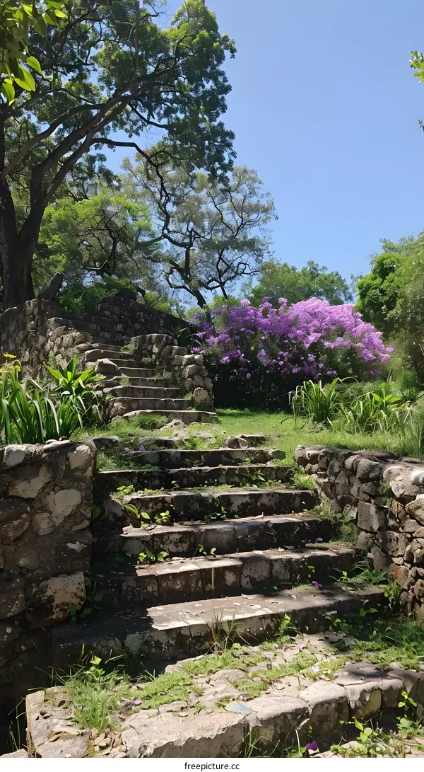 Stone steps lead up to a garden of purple flowers