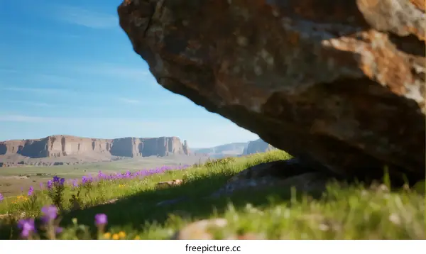 Scenic landscape with large rock and wildflowers under clear sky