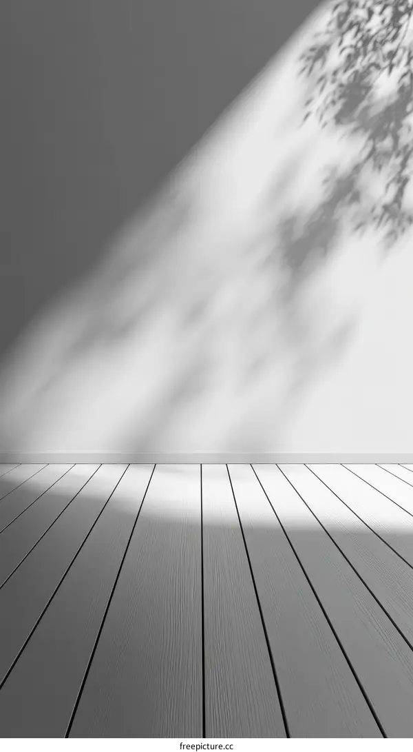 Empty Room with Sunlight and Shadow on the Floor