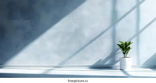 Minimalist Interior Design with Sunlight and Green Plant