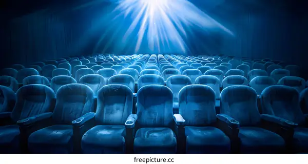 Empty Blue Seats in a Movie Theater