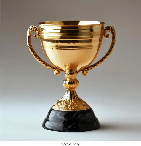 Golden Trophy Award Winner