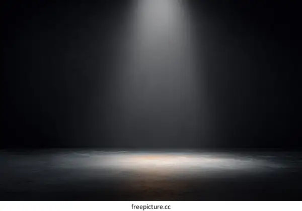 Spotlight on Empty Dark Stage
