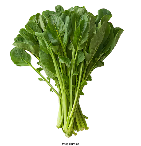 [Transparent Background PNG]Fresh green spinach on white background