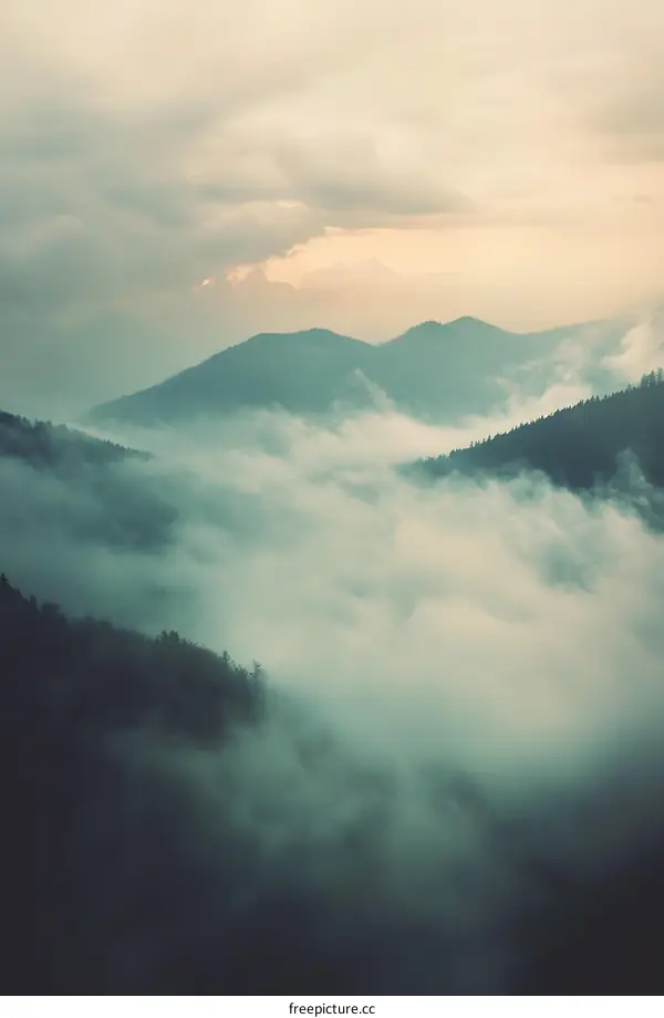 Misty Mountain Landscape