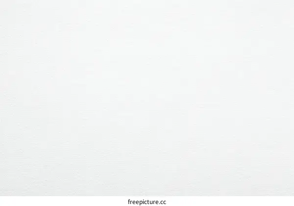 Blank White Paper Texture Background