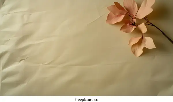 Beige Texture with Dried Leaves