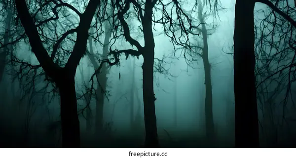 Silhouettes of Trees in Foggy Forest