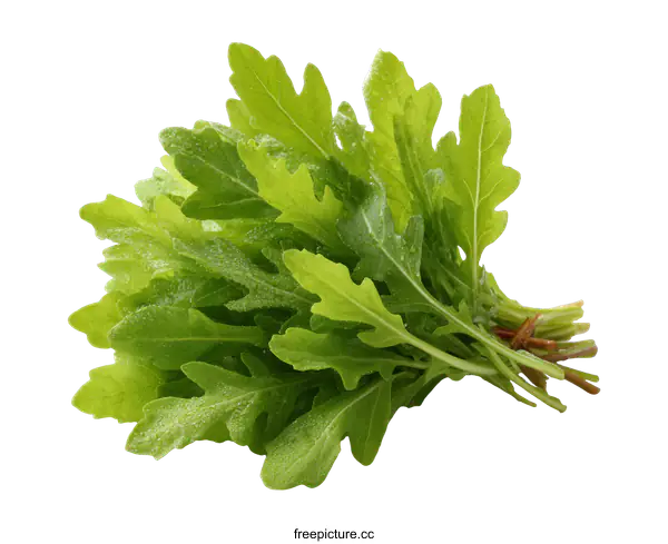 [Transparent Background PNG]Fresh  Watercress Bunch Close Up