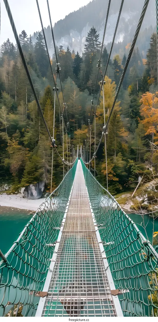 Suspension Bridge Through Autumn Forest