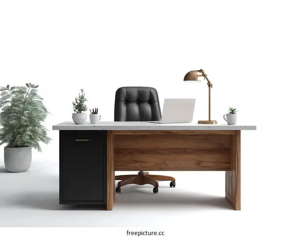 Modern Office Workspace with Wood Desk
