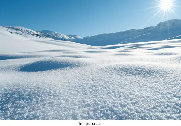 A Beautiful Snowy Landscape